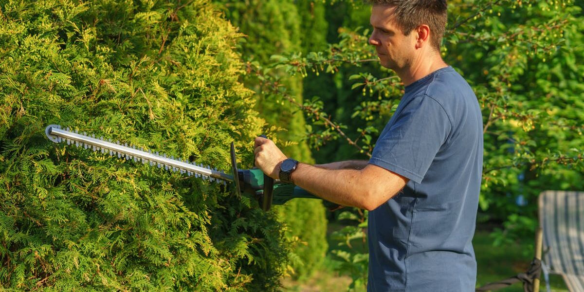 Ratschläge für Arbeiten im Garten