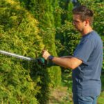 Ratschläge für Arbeiten im Garten