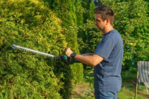 Ratschläge für Arbeiten im Garten