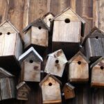 Vogelhäuschen