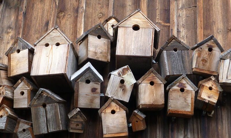 Vogelhäuschen