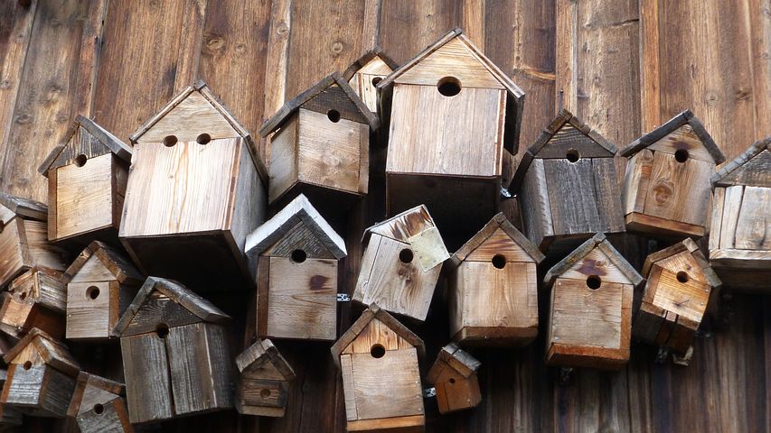 Vogelhäuschen